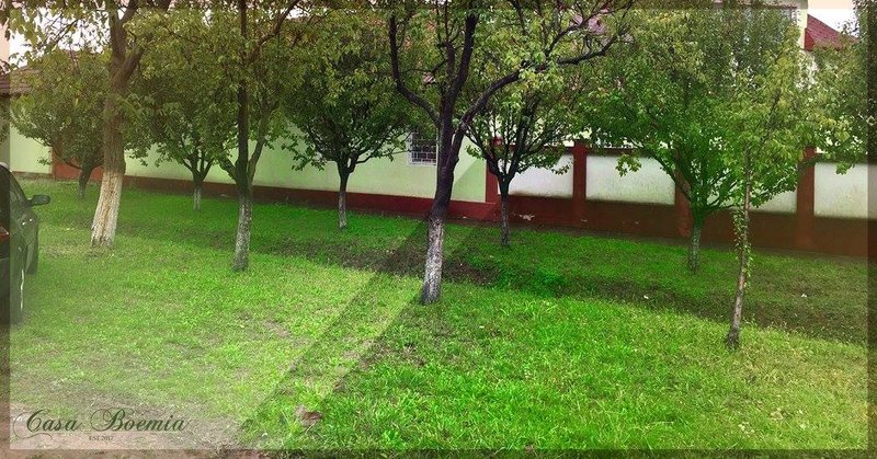 Centru de ingrijire pentru varstnici Casa Boemia - Giroc